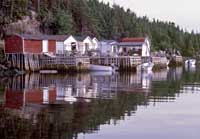 Cards Harbour